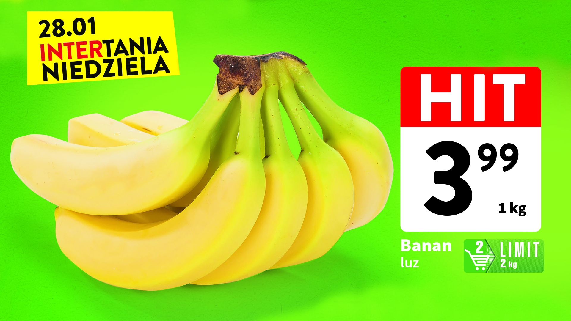 Plansza8
